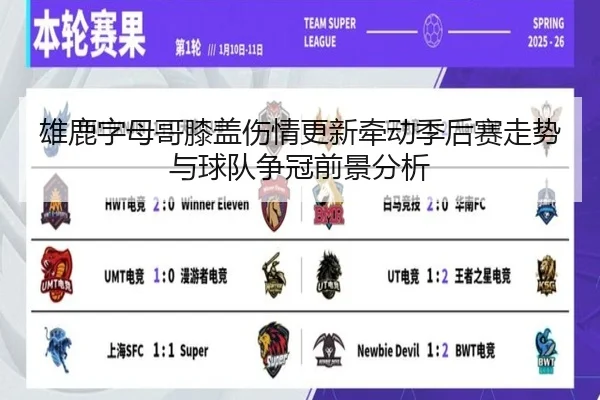 雄鹿字母哥膝盖伤情更新牵动季后赛走势与球队争冠前景分析